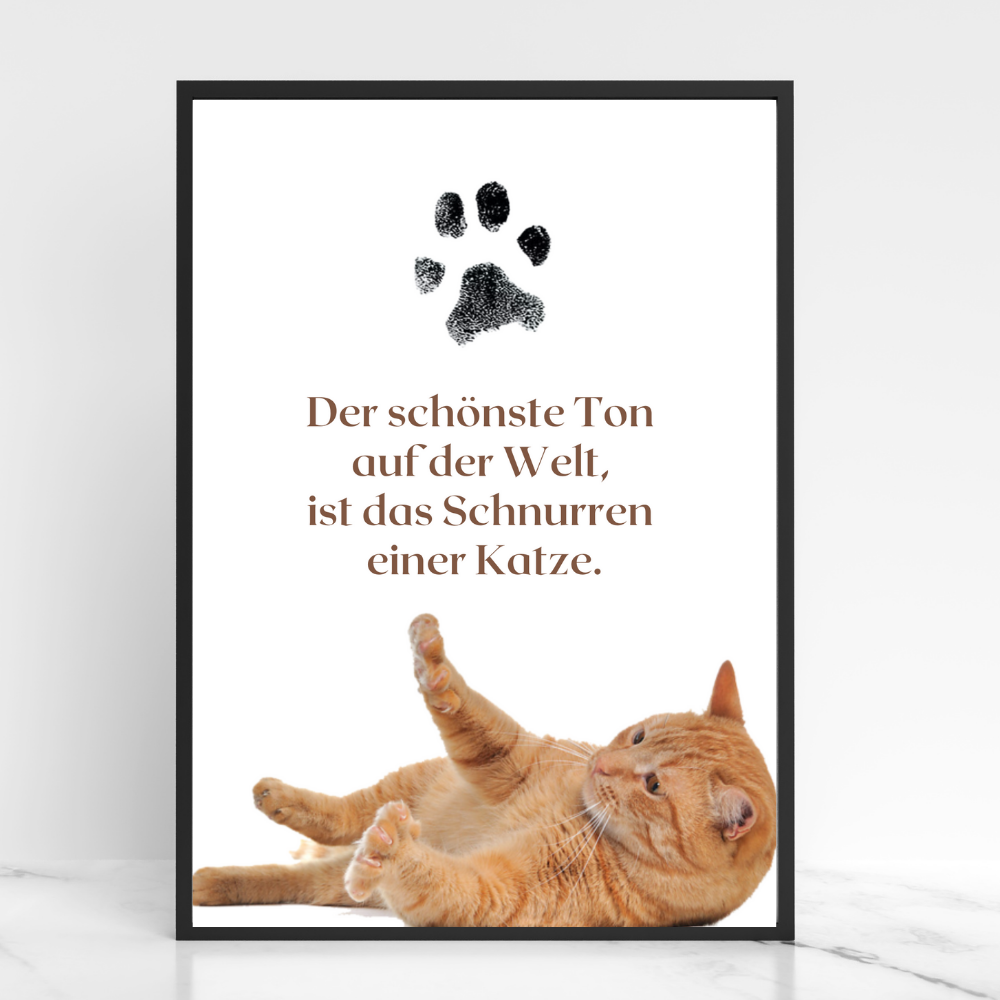 Katzenposter - Zitat Salem