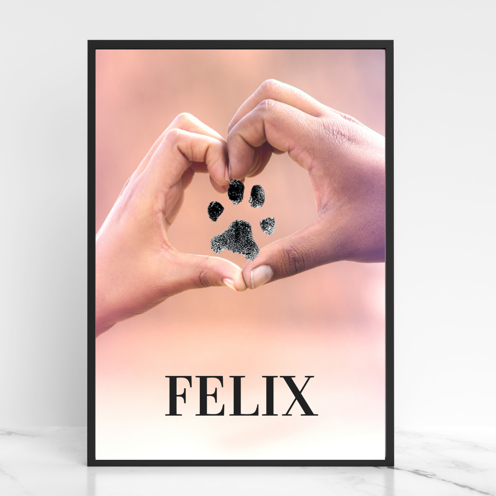 Katzenposter - Felix