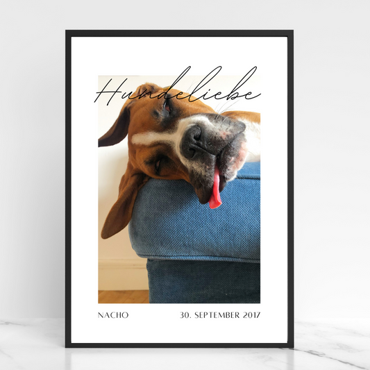 Hundeposter - Nacho