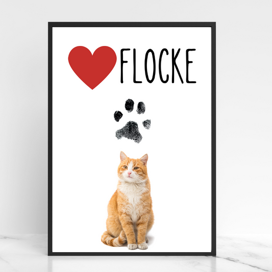 Katzenposter - Flocke