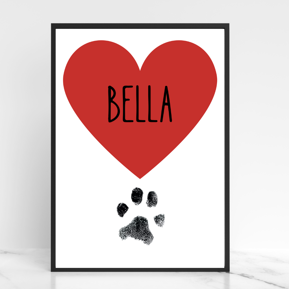 Katzenposter - Bella