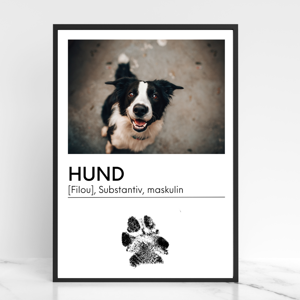 Hundeposter - Filou