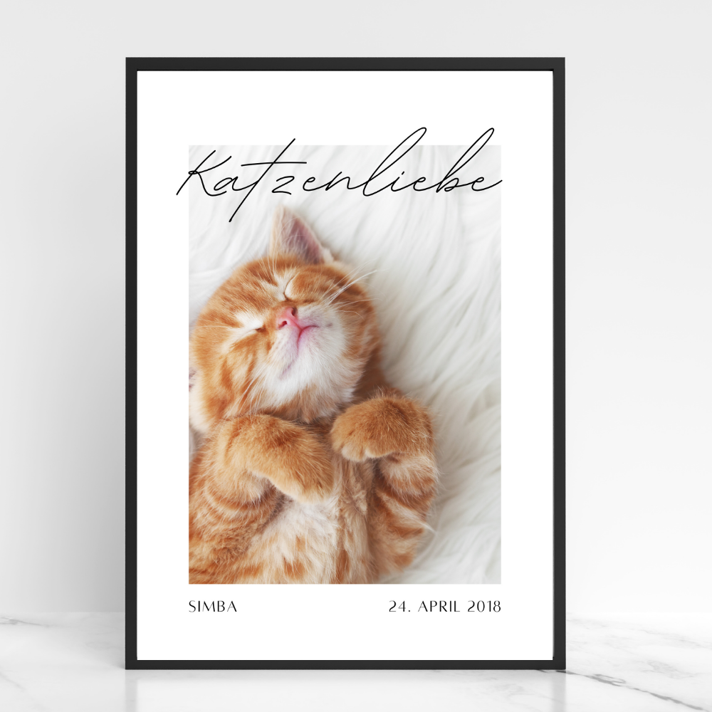 Katzenposter - Simba