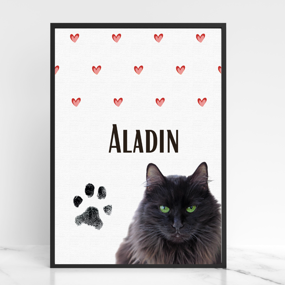 Katzenposter - Aladin