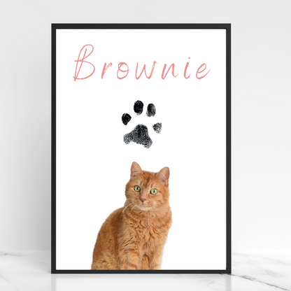 Katzenposter - Brownie