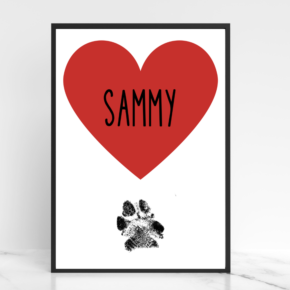 Hundeposter - Sammy