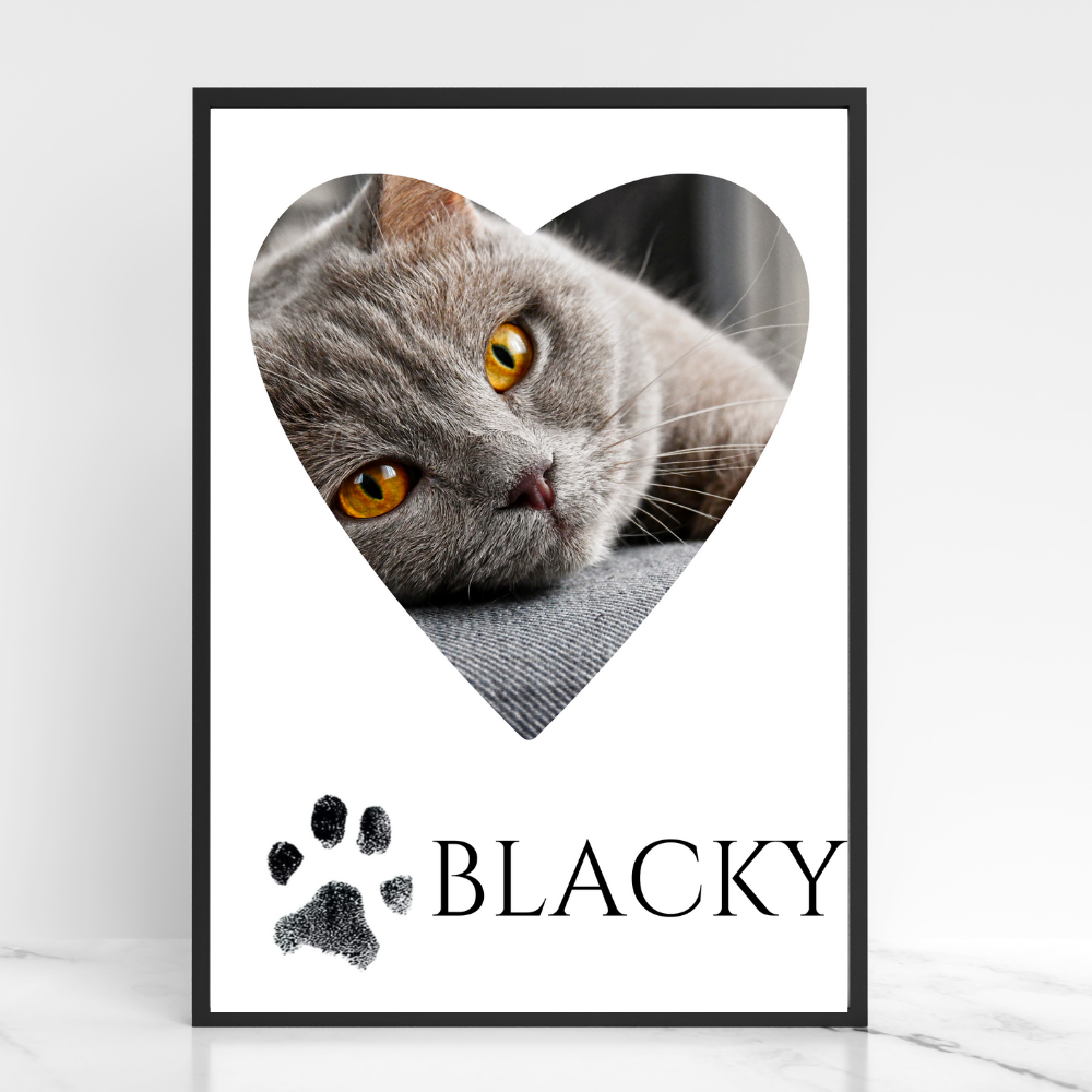 Katzenposter - Blacky