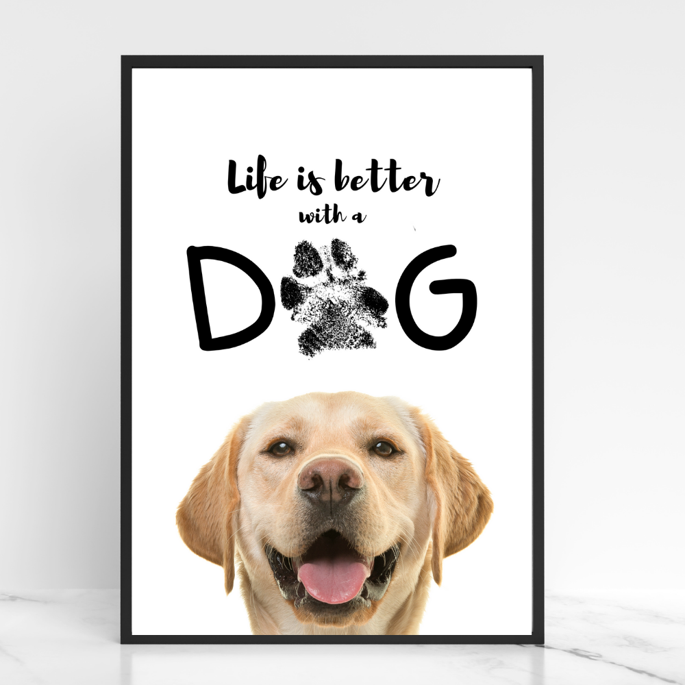 Hundeposter - Bailey