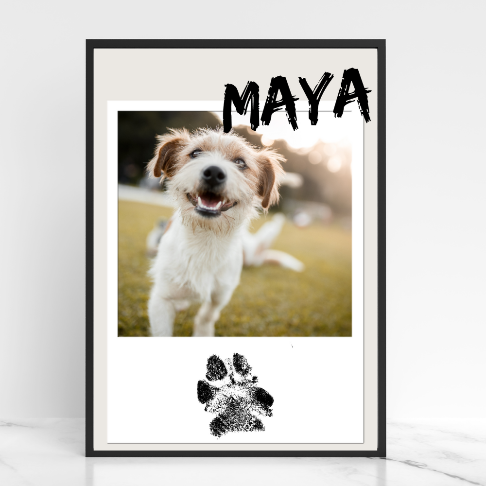 Hundeposter - Maya