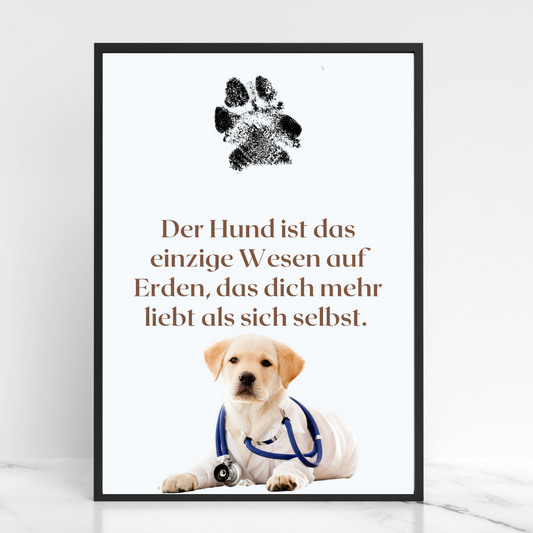 Hundeposter - Lucy Zitat