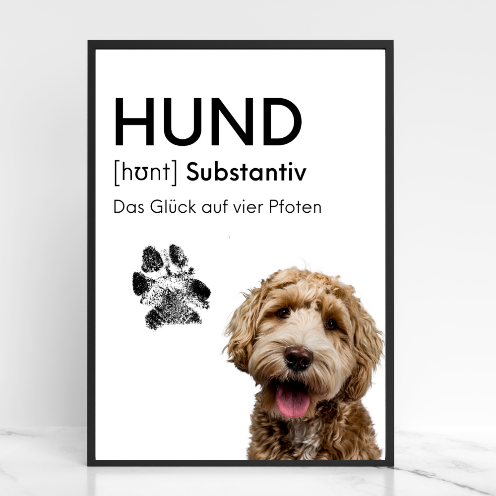 Hundeposter - Holly