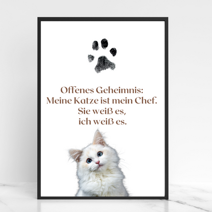 Katzenposter - Zitat Muffin