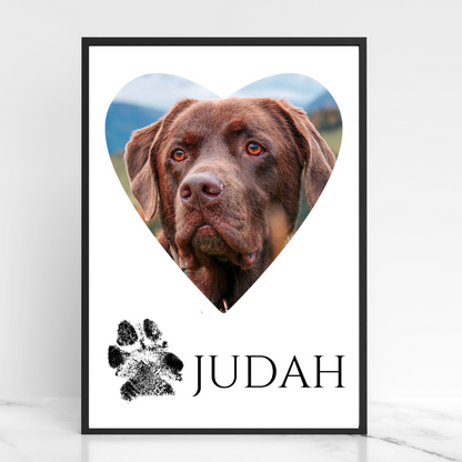 Hundeposter - Judah