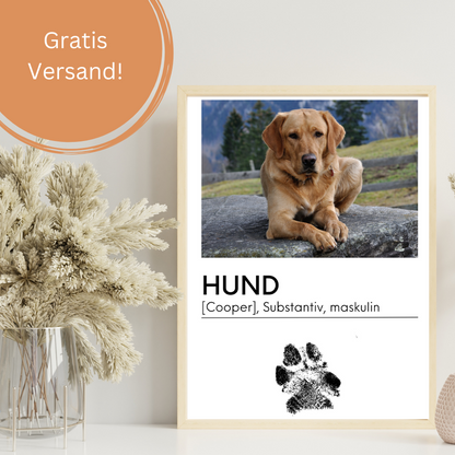 Hundeposter - Filou