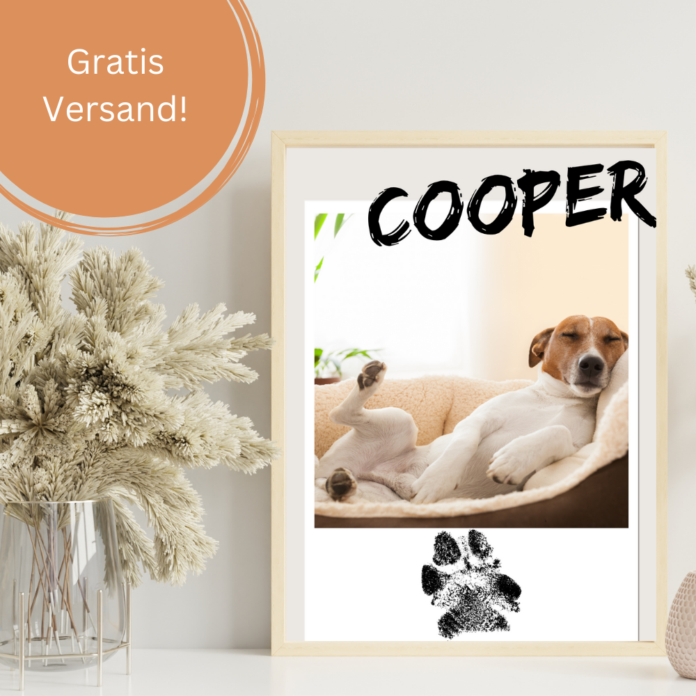 Hundeposter - Maya