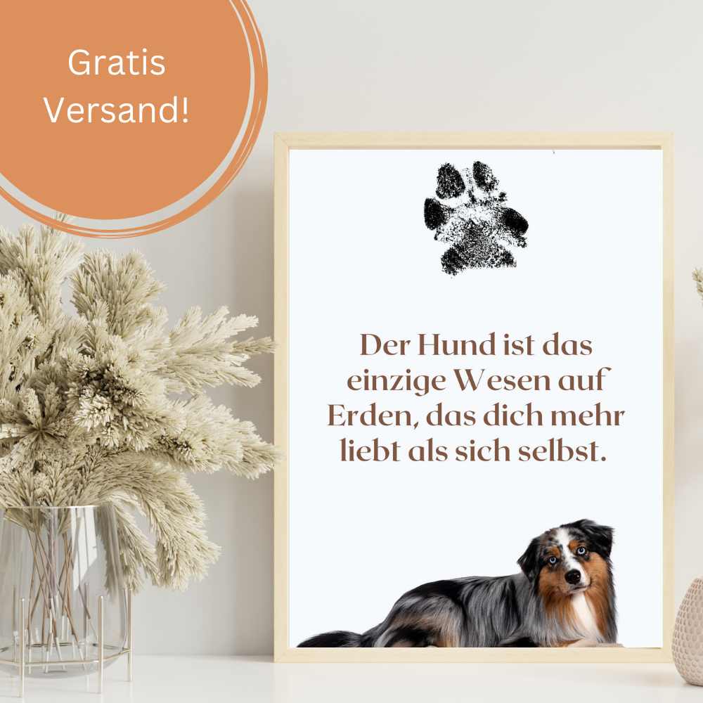 Hundeposter - Lucy Zitat