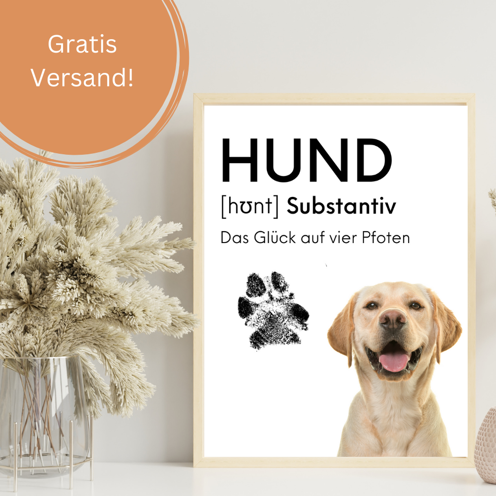 Hundeposter - Holly