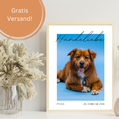 Hundeposter - Nacho