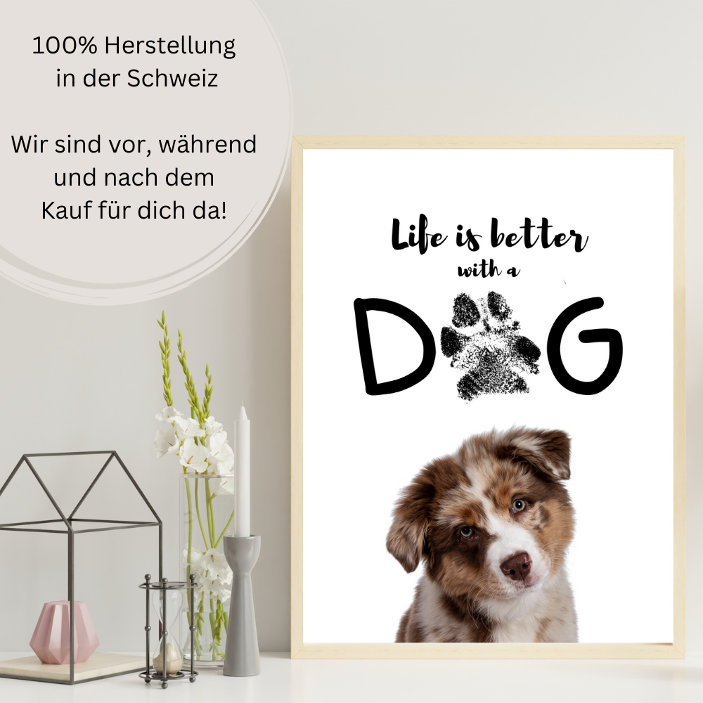 Hundeposter - Bailey