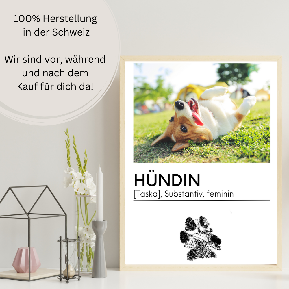 Hundeposter - Filou