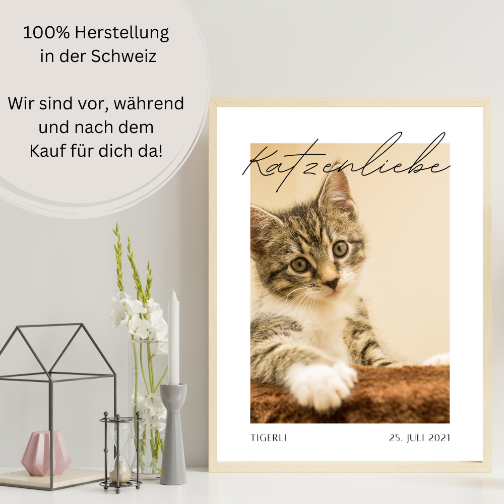 Katzenposter - Simba