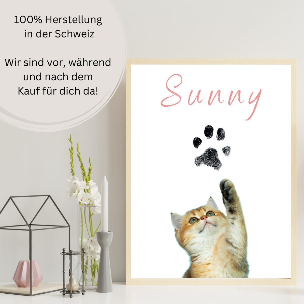 Katzenposter - Brownie