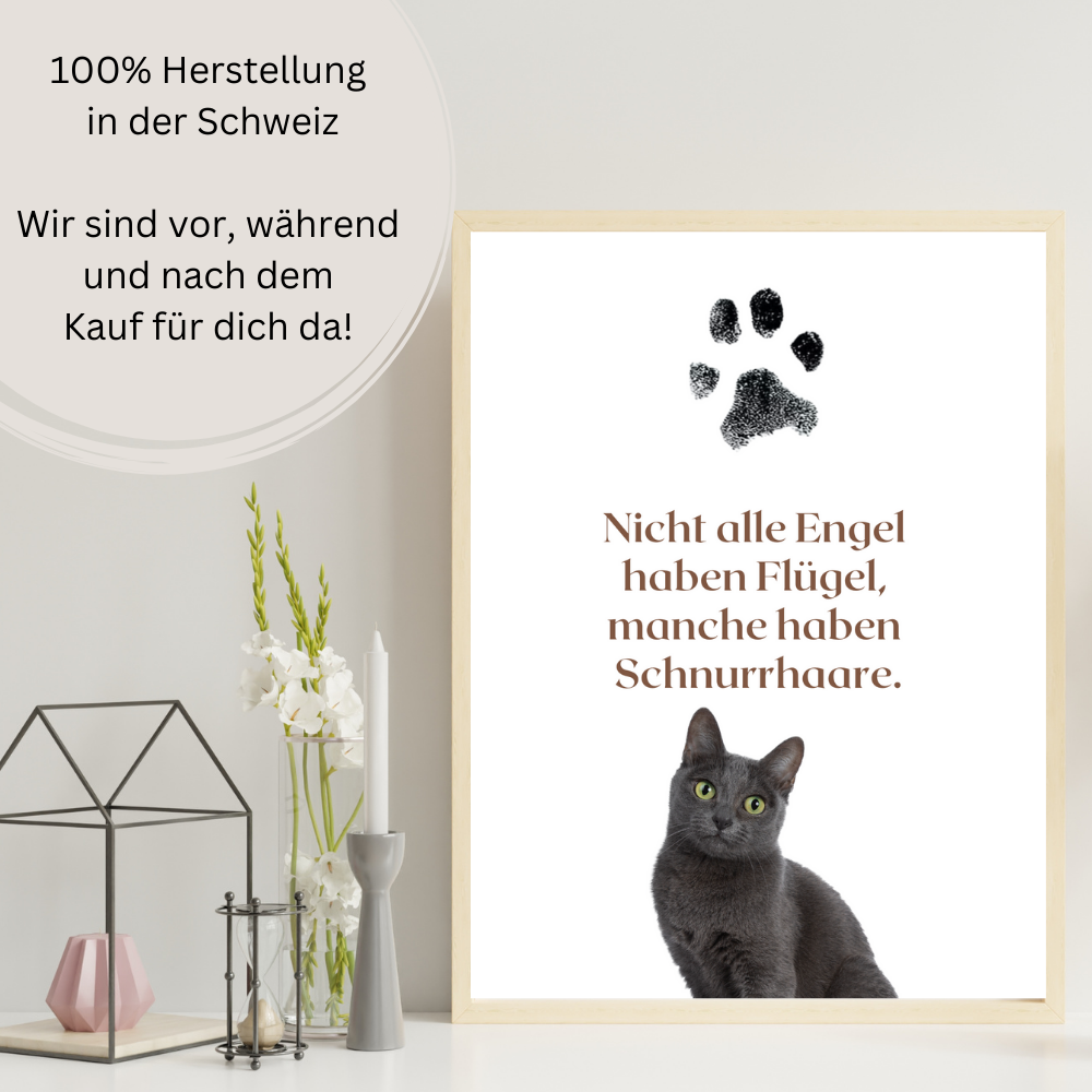 Katzenposter - Zitat Bounty