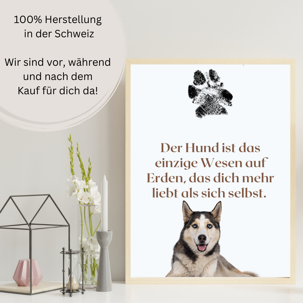 Hundeposter - Lucy Zitat