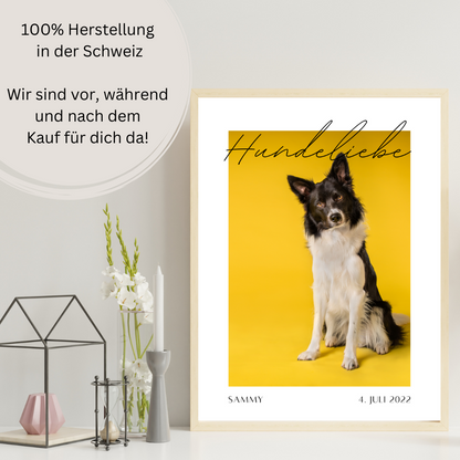 Hundeposter - Nacho