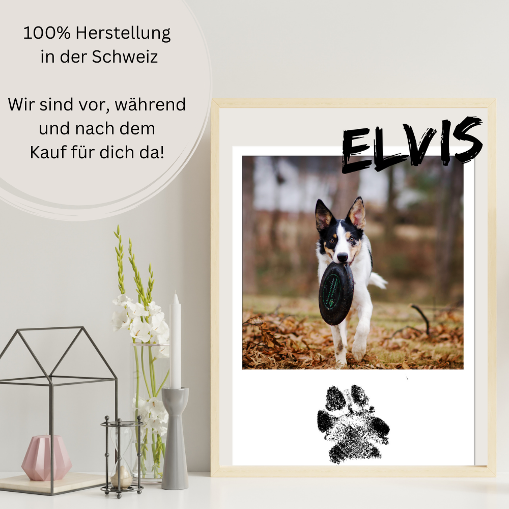 Hundeposter - Maya