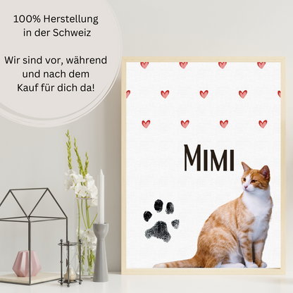 Katzenposter - Aladin