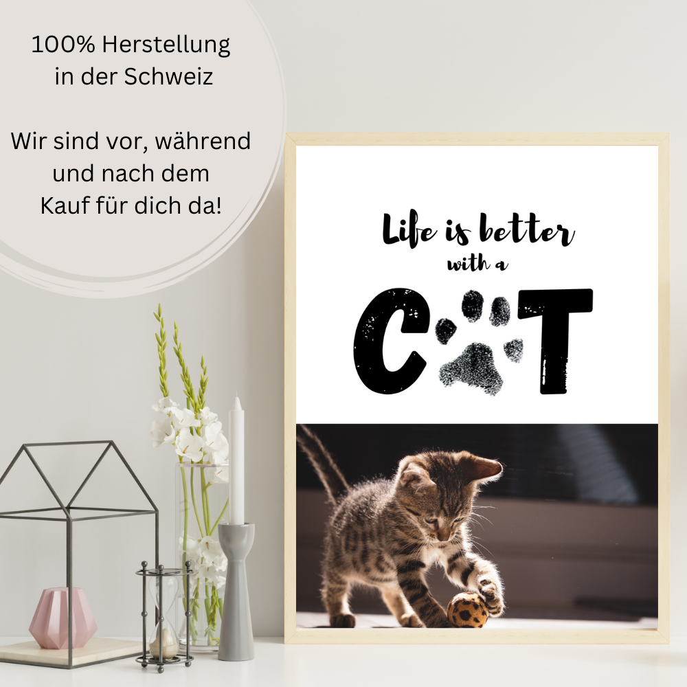 Katzenposter - Archie