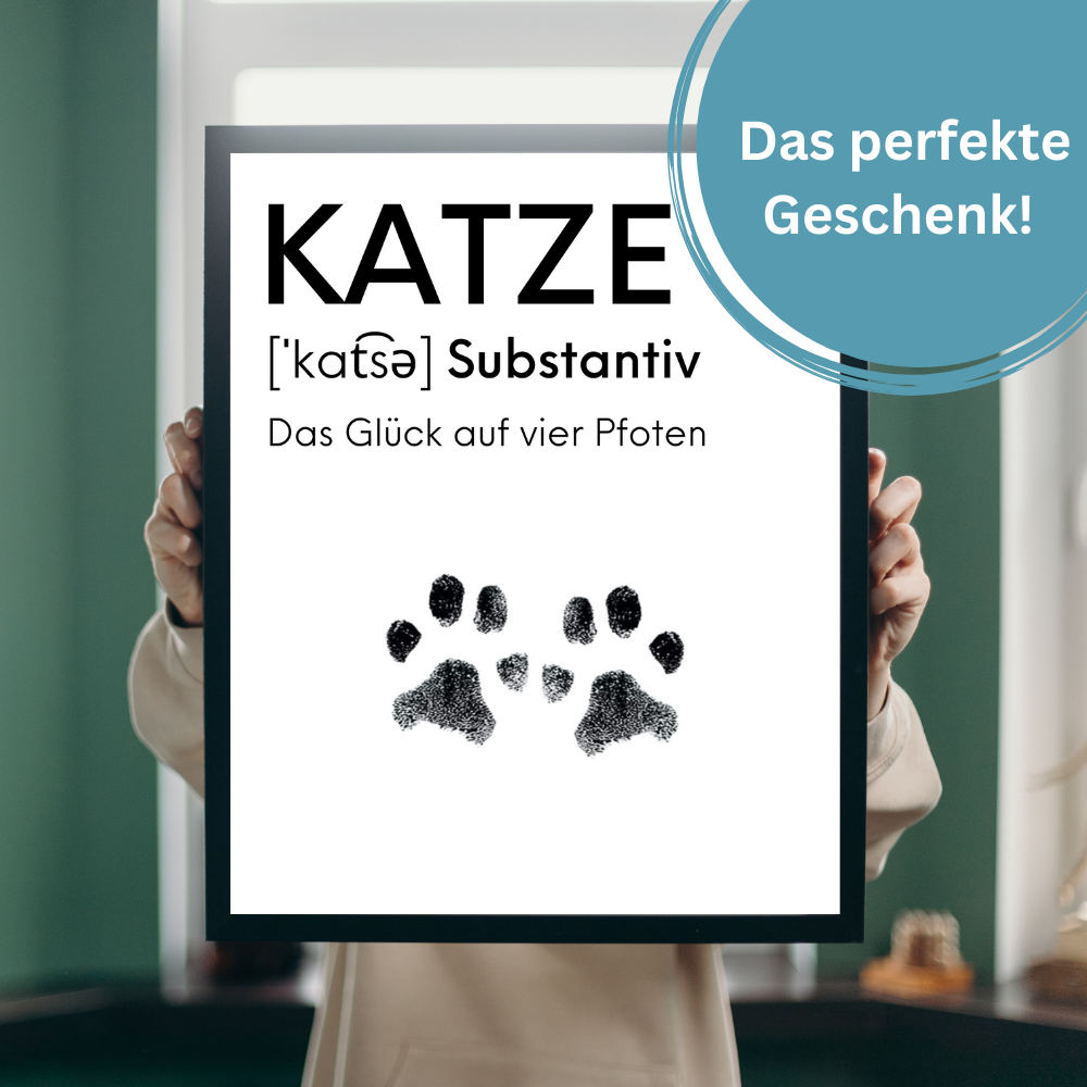 Katzenposter - Katze