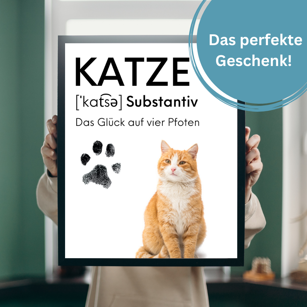 Katzenposter - Pfötchen