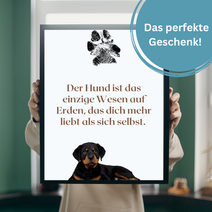 Hundeposter - Lucy Zitat