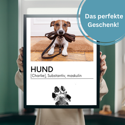 Hundeposter - Filou