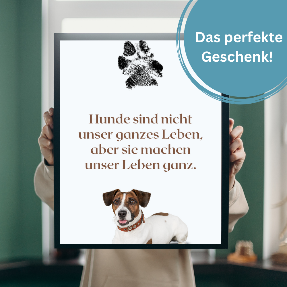 Hundeposter - Kira Zitat