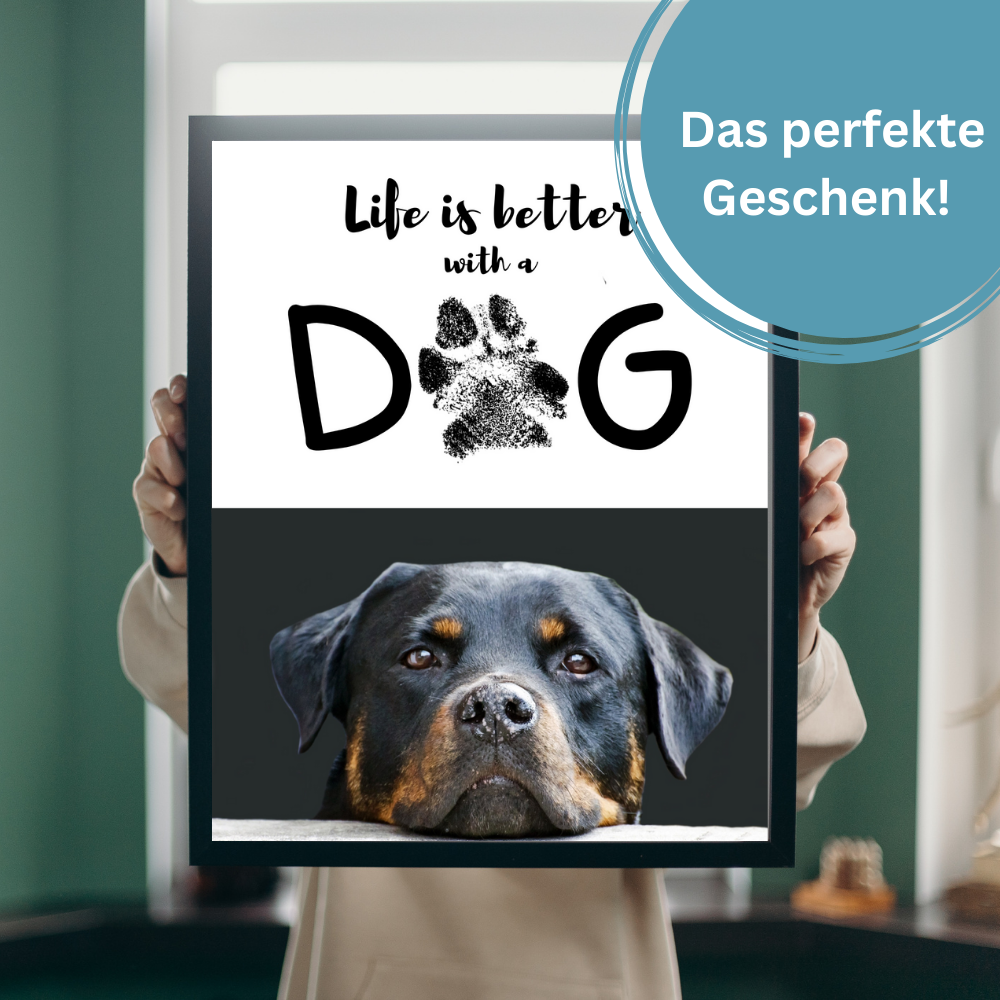 Hundeposter - Cooper