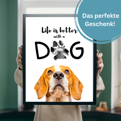 Hundeposter - Bailey