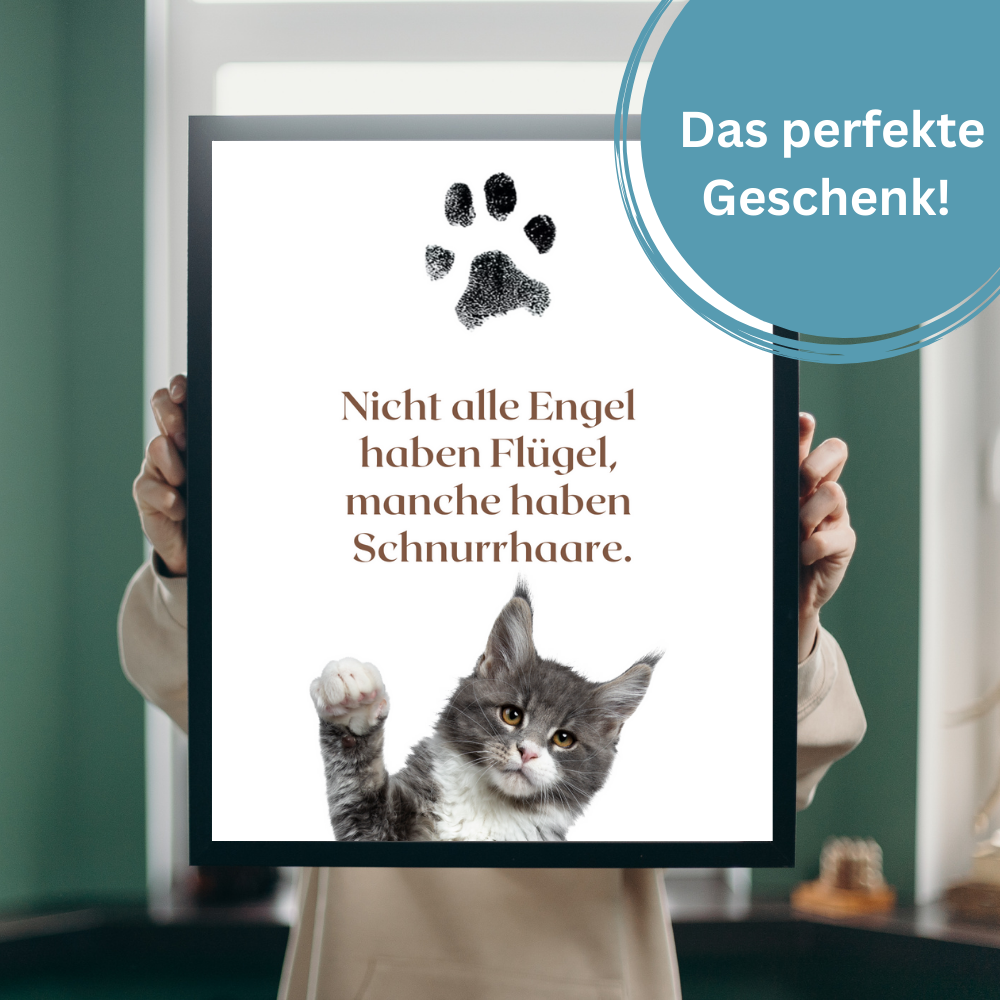 Katzenposter - Zitat Bounty