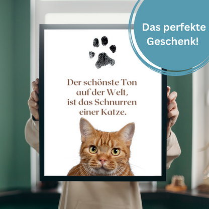 Katzenposter - Zitat Salem