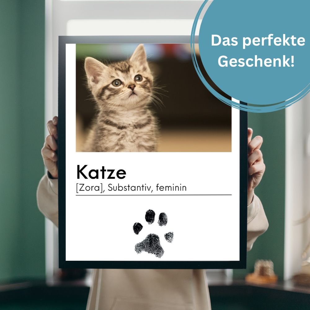 Katzenposter - Garfield