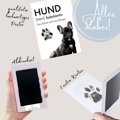 Hundeposter - Holly